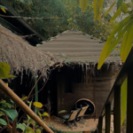 隠れた名品を発見する国内旅行の美しさを掘り起こす