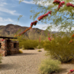 オフ・ザ・ビートン・パス：人気の観光地に隠された宝石を発見する